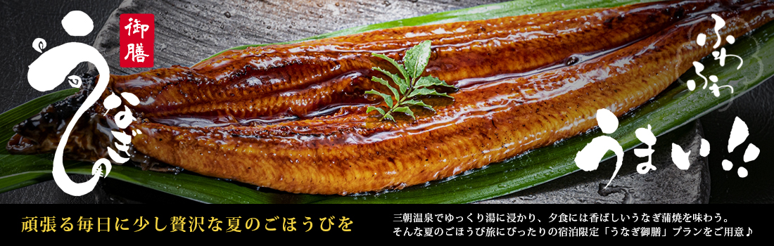 うなぎプラン